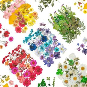 Dried Pressed Flowers, 170+ Pcs Mixed Dried Flowers for Resin, Bulk Natural Dry Floral Resin Fillers Decoration Accessories for DIY Crafts, Scrapbooking