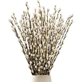 Lanmik 60 Stems 17 Inches Real Pussy Willow Flowers Pussy Willow Branches for Vases Natural Pussywillows with White Flowers Preserved for Easter Wedding Home Party Hotel Fireplace Decor