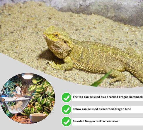 FlidRunest Bearded Dragon Hammock with Suction Cups, Soft Lizard Hammock Bed, Hanging Reptile Hammock Bearded Dragon Winter Warm House Tent, Bearded Dragon Tank Perch in Kuwait
