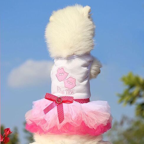 2-Pack Dog Dresses for Small Dog Girls Cute Princess Girl Dog Clothes with Bling Rhinestones Tutu Pet Dress Outfit Female Dog Clothes for Small Dog Girl Teacup Chihuahua Yorkie (XX-Small) in Saudi Arabia