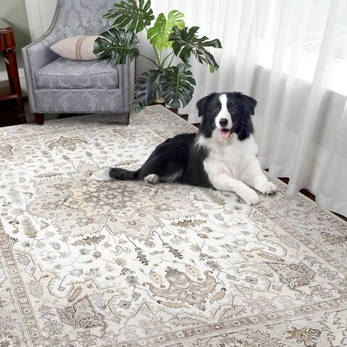 Area Rug 5x7, Machine Washable Rugs for Bedroom, Large Non Slip Persian Rug for Bedroom Living Room Kitchen Entryway Bathroom Office Carpet Brown… in Saudi Arabia