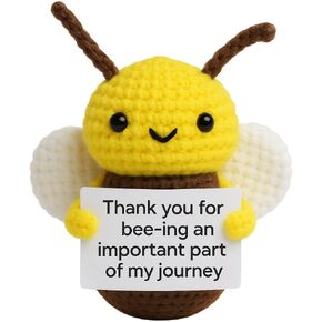 Teacher Appreciation Gifts, Teacher Gifts for Women Funny, Cool Hand Knotted Bee, Emotional Support