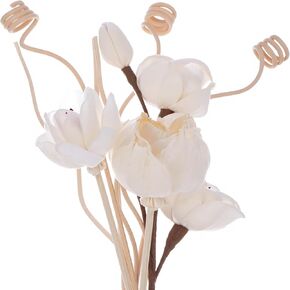 9 PCS REED Diffuser Sticks ، مجموعة زهور العطر القصب ، مجموعة من العصي الطبيعية ، عصي إعادة ملء الزهرة المصنوعة يدويًا ، ديكور مكتب غرفة نوم المنزل
