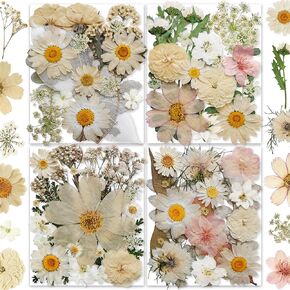 269PCS Dried Pressed Flowers for Resin Craft - YouthBro Real Nature Flowers Set with Butterfly Stickers for DIY Jewelry Nail Scrapbook Art Floral Decors Iridescent