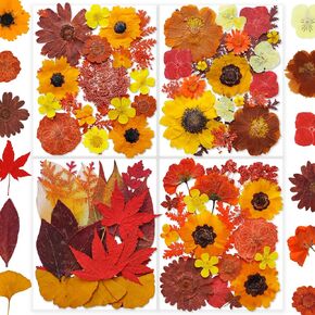 269pcs زهور مضغوطة مجففة للرياحات الحرف - يونغبرو الطبيعة الحقيقية مجموعة مع ملصقات الفراشة لمجوهرات DIY مسامير القصاصة الفنية الأزهار ديكورز in Kuwait