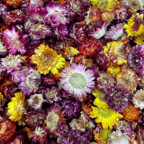 Food Grade Dried Mixed Flowers | 20+ Flowers | 100% Natural | Dried Flowers | Cocktail Toppers | for Garnishing Cocktails, Cake Decoration, Tea Infusions | 20 Grams, 0.7 oz | Drink Botanicals Ireland