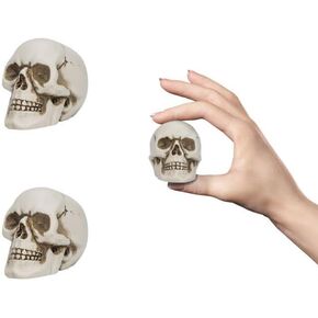 Readaeer Resin Skull 4 PCS/Set ، Mini Skull Model للتزيين المنزلي ، تمثال الجمجمة الهالوين ، نموذج عظام رأس الجمجمة البشرية لسطح المكتب