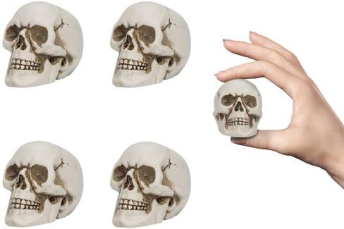 READAEER Resin Skull 4 pcs/Set, Mini Skull Model for Home Decoration, Halloween Skull Statue, Human Skull Head Bone Model for Desktop in Kuwait