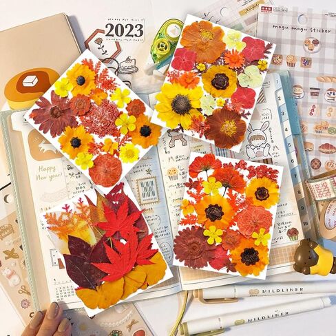 269pcs زهور مضغوطة مجففة للرياحات الحرف - يونغبرو الطبيعة الحقيقية مجموعة مع ملصقات الفراشة لمجوهرات DIY مسامير القصاصة الفنية الأزهار ديكورز in Kuwait