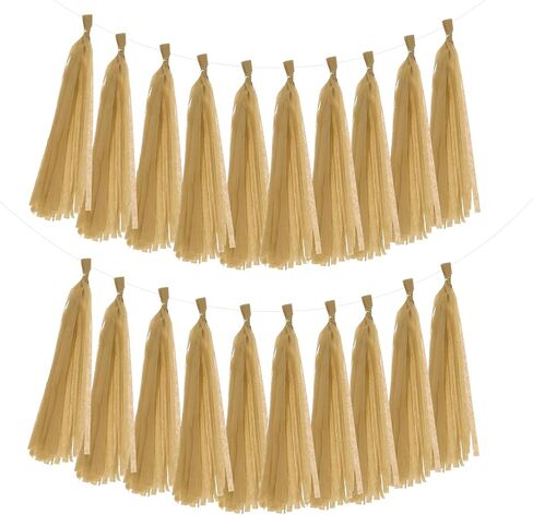 MECCANIXITY 20Pcs Tassel Garland Banner Tissue Paper for Streamers Party Decorations, Valentine's Day Birthday Decor for Women with Rope and Tie Wire (Cream White, 14.6Inch) in Saudi Arabia