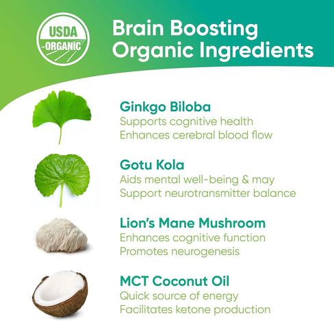 Focus & Memory - Organic Memory Tea Brain Booster, Ginkgo Biloba Tea, Gotu Kola Tea, Lion's Mane Mushroom Tea - Caffeine Free Focus Tea, Mental Clarity Brain Supplements - 30 Sachets in Saudi Arabia