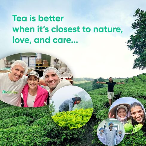 Focus & Memory - Organic Memory Tea Brain Booster, Ginkgo Biloba Tea, Gotu Kola Tea, Lion's Mane Mushroom Tea - Caffeine Free Focus Tea, Mental Clarity Brain Supplements - 30 Sachets in Saudi Arabia