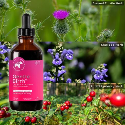 Mountain Meadow Herbs Gentle Birth for Birth Prep/Labor Prep, Fast Acting Liquid Herbal Extract for Childbirth Support w/o Blue Cohosh - 4oz in Kuwait