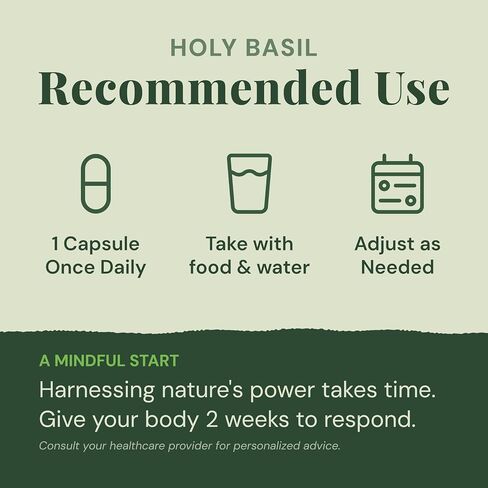 Organic Holy Basil Capsules – Tulsi Leaf Extract, 480mg, 60 Capsules | Ayurvedic Herbal Supplement for Stress Relief, Calm & Wellness | Adaptogen for Vitality, Non-GMO, Gluten-Free in Saudi Arabia