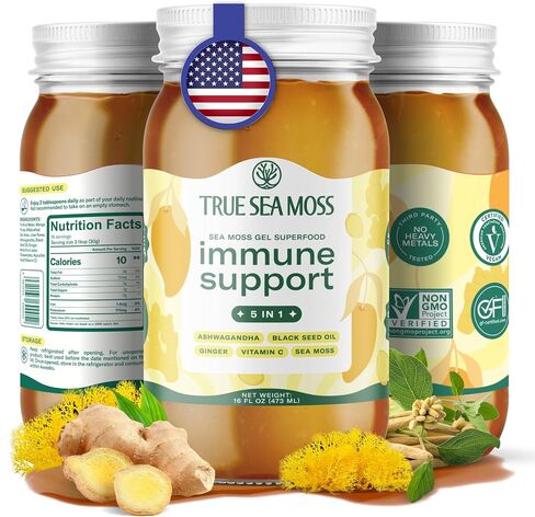 Sea Moss Gel – Made in USA – 5-in-1 Formula – Wildcrafted Seamoss, Ashwagandha & Sea Vegetables – Ashwagandha, Pack of 1 (Labels may Vary) in Kuwait