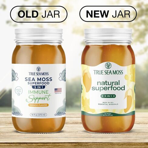 Sea Moss Gel – Made in USA – 5-in-1 Formula – Wildcrafted Seamoss, Ashwagandha & Sea Vegetables – Ashwagandha, Pack of 1 (Labels may Vary) in Kuwait
