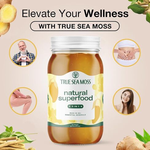 Sea Moss Gel – Made in USA – 5-in-1 Formula – Wildcrafted Seamoss, Ashwagandha & Sea Vegetables – Ashwagandha, Pack of 1 (Labels may Vary) in Kuwait