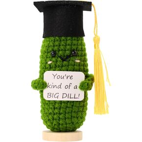 Graduation Gifts 2025 – Big Dill Crochet Pickle with Stand & Keychain | Handmade Grad Gift for High School, College, University, Nurses, PhD. Gifts for Her