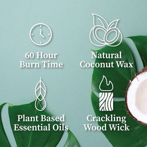 Hemlock Park Clackling Wood Wick Candle المصنوع يدويًا بشمع جوز الهند الطبيعي (8 أونصة ، بالو سانتو) in Kuwait