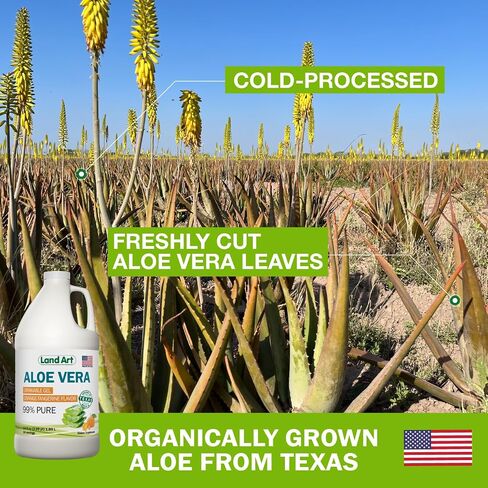 Land Art Pure Aloe Vera Drinkable Gel Unflavored - Cold-Processed Inner Filet - from Organic Fresh Leaves from Texas - for Heartburn Relief - Acid Reflux - 64 fl oz in Saudi Arabia