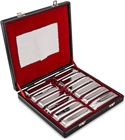 SWAN Harmonica Set 7 Keys A B C D E F G 10 Hole 20 Tones Harmonica Blues Mini Harmonica for Adult, Professional Player,Beginner,Students with Case Bag (Silver 7 key (A B C D E F G)) in Saudi Arabia