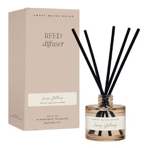 ديكور المياه الحلو الملح وناشر قصب البحر-جمالية ديكور الغرفة مع عطر قسط طويل الأمد من ملح البحر والحمضيات والمسك والعنبر لمدة 4 أشهر-مثالية للديكور المنزلي