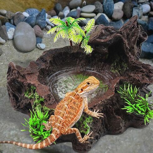 kathson Resin Reptile Bowl Bearded Dragon Food Dish Lizard Water Dish Reptiles Feeding Bowls with Feeder Tweezer for Leopard Gecko Tortoise Chameleon Water Frog Hermit Crab in Kuwait