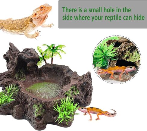kathson Resin Reptile Bowl Bearded Dragon Food Dish Lizard Water Dish Reptiles Feeding Bowls with Feeder Tweezer for Leopard Gecko Tortoise Chameleon Water Frog Hermit Crab in Kuwait