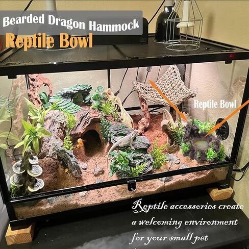 kathson Resin Reptile Bowl Bearded Dragon Food Dish Lizard Water Dish Reptiles Feeding Bowls with Feeder Tweezer for Leopard Gecko Tortoise Chameleon Water Frog Hermit Crab in Kuwait