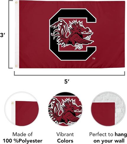 Desert Cactus University of South Carolina Flag Gamecocks USC Cocky Flags Banners 100% Polyester Indoor Outdoor 3x5 (Style A) in Saudi Arabia