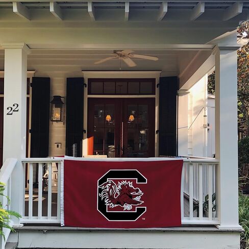 Desert Cactus University of South Carolina Flag Gamecocks USC Cocky Flags Banners 100% Polyester Indoor Outdoor 3x5 (Style A) in Saudi Arabia
