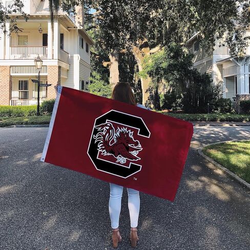 Desert Cactus University of South Carolina Flag Gamecocks USC Cocky Flags Banners 100% Polyester Indoor Outdoor 3x5 (Style A) in Saudi Arabia