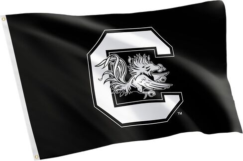 Desert Cactus University of South Carolina Flag Gamecocks USC Cocky Flags Banners 100% Polyester Indoor Outdoor 3x5 (Style A) in Saudi Arabia