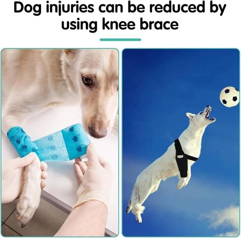 Dog Knee Brace for ACL & Ligament Injuries | Adjustable Back Leg Support & Compression Wrap | Helps with Patella Dislocation, Osteoarthritis & Sprains | Multifunctional Protection (Small) in Saudi Arabia