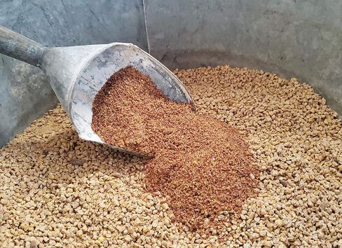 بيض طازج فيتامينات بيض طازجة في الفيتامينات لدجاج الفناء الخلفي والبط 16 أوقية in Kuwait
