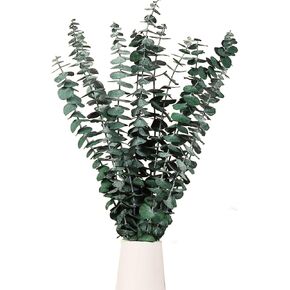 115 PCS Dried Eucalyptus Stems & Lavender Flowers Bundle for Shower, 17'' Natural Real Live Eucalyptus Leaves Greenery Hanging Lavender Shower Plant for SPA Home Fragrance Bathroom Wall Decor