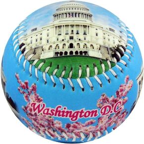 Washington D.C. USA Souvenir Baseball