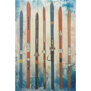 Empire Art Direct "Retro Skis" Fine Art Giclee Printed on Solid Fir Planks Graphic Wall Art,36" x 24" x 1.5", Ready to Hang