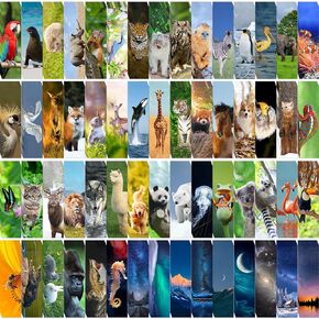 300PCS Animal Bulk Bookmarks for Kids Classroom 60 Designs Cool Wildlife Bookmarks Cute Book Mark Double Sided Bookmarks for Book Lovers Students Children Rewards Gifts