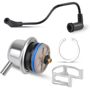 Fuel Injection Pressure Regulator w/Vacuum Line Fits for Chevy Avalanche 1500/Express 1500 2500 3500/Silverado Replaces 89060418 17113556