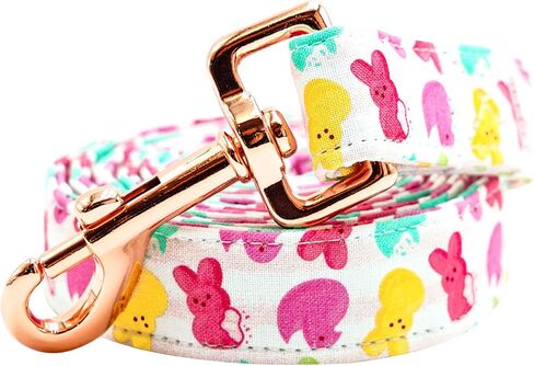 Lionheart glory St. Patrick Dog Leash-Lucky Clover Shamrock Dog Leashes Strong Comfortable Soft Handle for Small Medium and Large Dogs Girl or Boy Leash in Kuwait