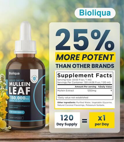 Bioliqua Mullein Drops for Lungs - High Strength of 150,000mg per 4fl oz Tincture - 120 Servings at 1,250mg per Dose - Lung Detox & Bronchial Cleanse - Coconut Flavour in Saudi Arabia