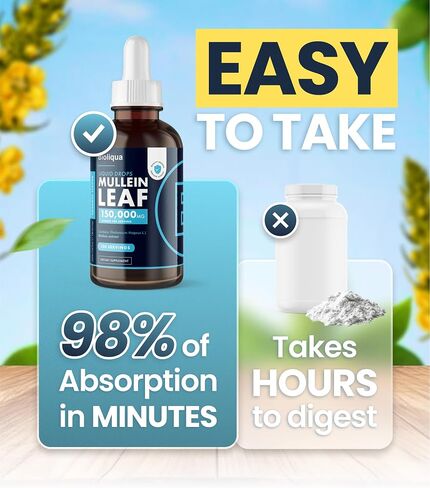 Bioliqua Mullein Drops for Lungs - High Strength of 150,000mg per 4fl oz Tincture - 120 Servings at 1,250mg per Dose - Lung Detox & Bronchial Cleanse - Coconut Flavour in Saudi Arabia