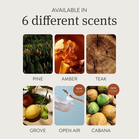 معطر الهواء الانجراف - معطر هواء الخشب - مزيل رائحة السيارات - طقم رائحة الهواء الطلق in Kuwait