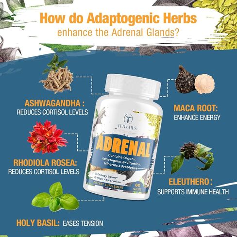 Adrenal Support Adaptogens Herbs Supplements - Cortisol Supplement with Rhodiola Rosea, Ashwagandha, Holy Basil and Eleuthero-Mood and Energy Support for Women & Men-Non-GMO, 60 Vegan Tablets in Saudi Arabia