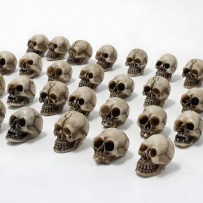 Mini Skull Heads Decorations Halloween ، 20pcs جماجم واقعية زخارف ، جماجم بشرية مصغرة لبار مائدة منزلية ، يوم منزل مسكون يوم ديكور ديكور DIED DIY PROPS PROPS