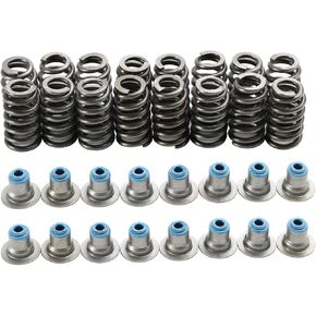Bruce & Shark LS Valve Springs 550" Lift Springs for LS1 LS2 LS3 LS6 LM7 LQ4 LQ9, 16PCS Beehive Springs with Hat Seals, Replaces 12713265 12499224 Fit LS6 Replacement