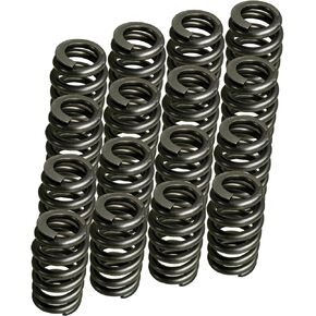 1218 Drop-in Valve Springs ، 16 Pack Beehive Springs Set 1200 Series متوافق مع محركات LS Series LS1 LS2 LS3 LS6 LQ4 LQ9 محركات 600 "LIFT تقييم 4.8L 5.3L 5.7L 6.2L 6.2L