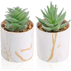 Der Rose Set of 2 Succulents Plants Artificial Mini Fake Succulents Plants for Office Desk Accessories for Women Pink Home Vanity Decor