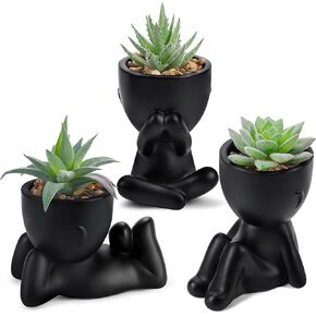 Der Rose 3pcs Fake Succulents Plants Artificial for Black Bathroom Bedroom Home Room Decor Aesthetic Indoor